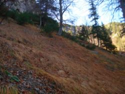 2013-10-26_Schildenstein (150).JPG